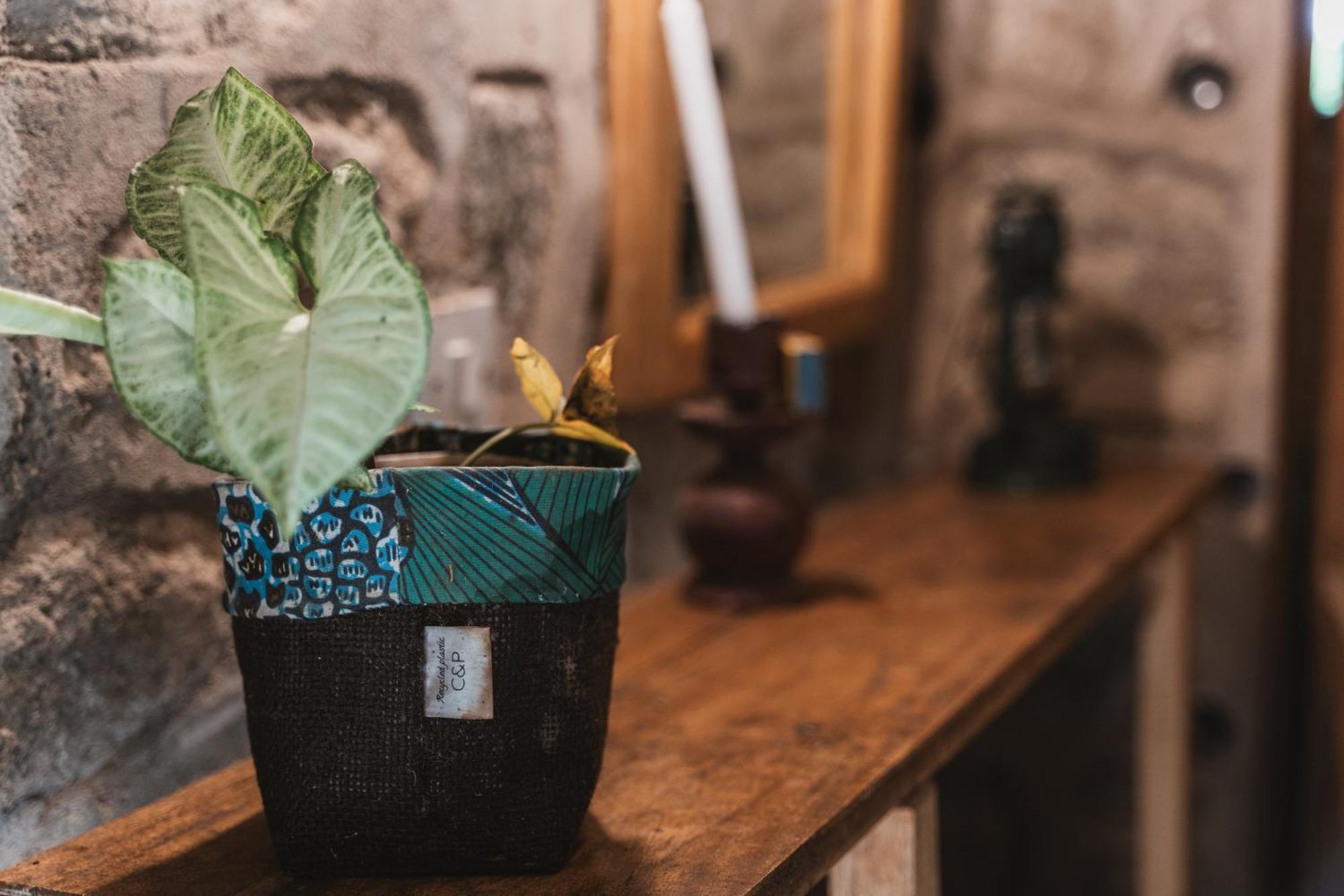 Butterfly Space- A Non-Profit Eco-Lodge Nkhata Bay Zewnętrze zdjęcie