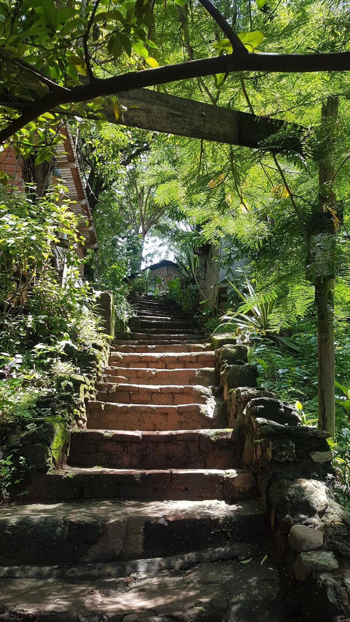 Butterfly Space- A Non-Profit Eco-Lodge Nkhata Bay Zewnętrze zdjęcie