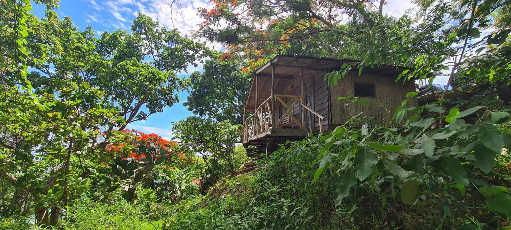 Butterfly Space- A Non-Profit Eco-Lodge Nkhata Bay Zewnętrze zdjęcie