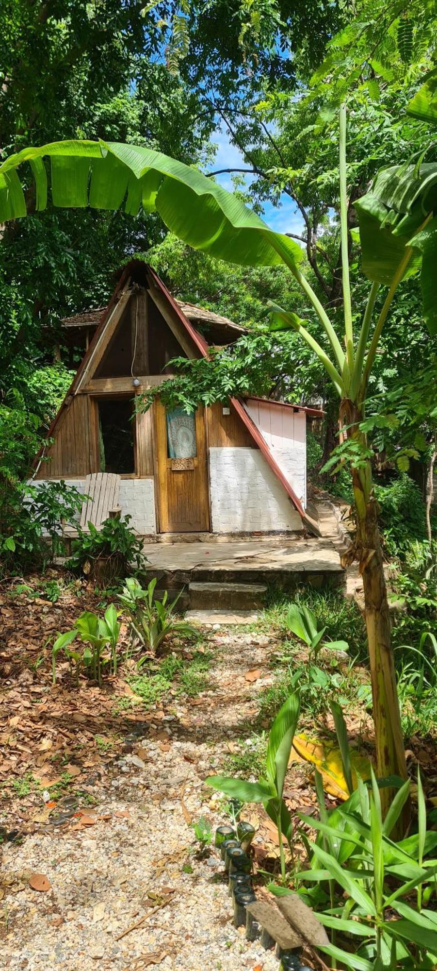 Butterfly Space- A Non-Profit Eco-Lodge Nkhata Bay Zewnętrze zdjęcie